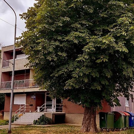 Tp Apartman 1 Krizevci Ngoại thất bức ảnh